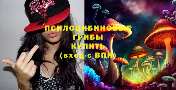 метадон Белокуриха