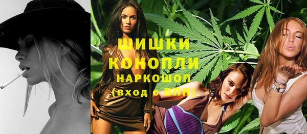 PSILOCYBIN Беломорск